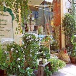 Le Jardin De Marie