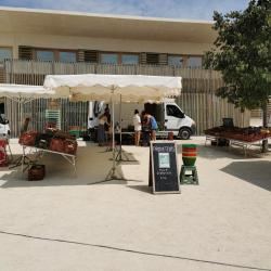 Le Jardin De Seb