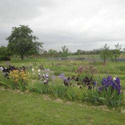 Le Jardin Des Dames