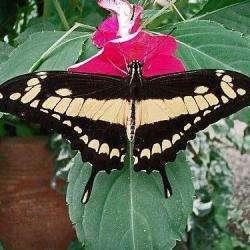 Le Jardin Des Decouvertes