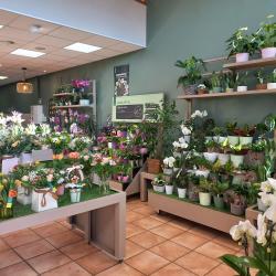 Le Jardin Des Fleurs