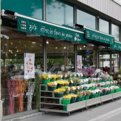 Le Jardin Des Fleurs