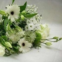 Fleurs Et Création