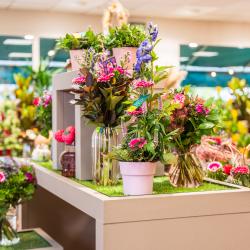 Le Jardin Des Fleurs