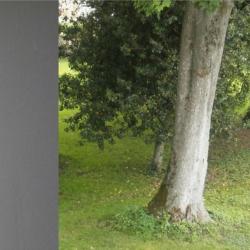 Le Jardin Des Lys
