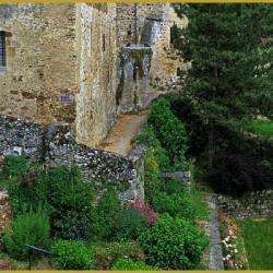 Le Jardin Des Merveilles