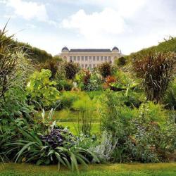 Le Jardin Des Plantes