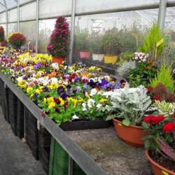 Le Jardin Des Sens