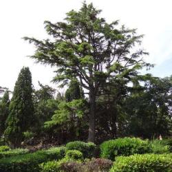 Le Jardin Du Calvaire