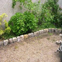 Le Jardin Evolutif