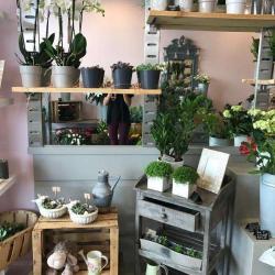 Le Jardin Secret