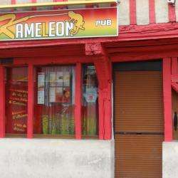 Le Kaméléon