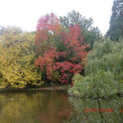 Le Lac De Saint-mandé