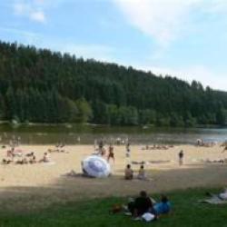 Le Lac Des Sapins