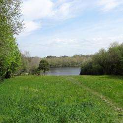 Le Lac Marion