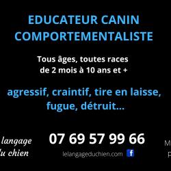 Le Langage Du Chien