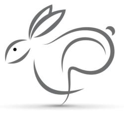 Le Lièvre Blanc