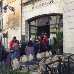 Le Lion D'arles