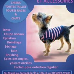Toilettage Le Look Canin
