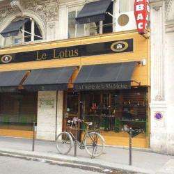 Le Lotus