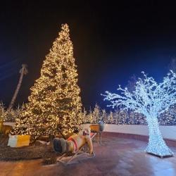 Le Marché De Noël De Le Barcarès
