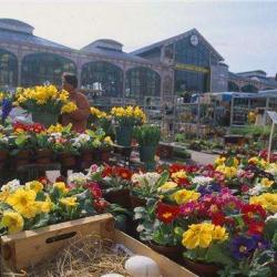 Marché De Wazemmes