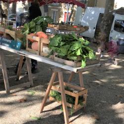 Le Marché Des Producteurs