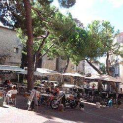 Le Marché Saint Roch