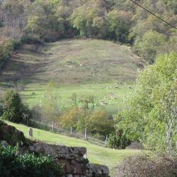 Le Gîte De Saint Izaire - Gîtes De France