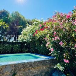 Le Mas Des Oliviers - Gîtes De France