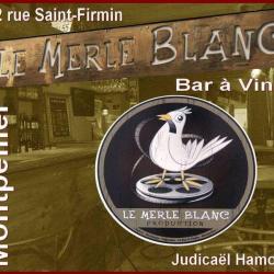 Le Merle Blanc