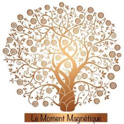 Le Moment Magnétique
