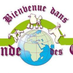 Le Monde Des Chiens