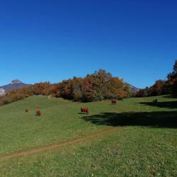 Le Mont Rachais Depuis La Frette