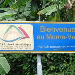 Le Morne Vert