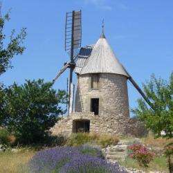 Domaine Bénazeth