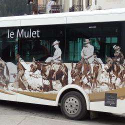 Le Mulet De Chamonix