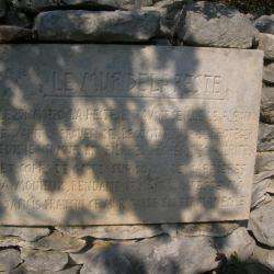 Le Mur De La Peste