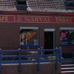 Le Narval
