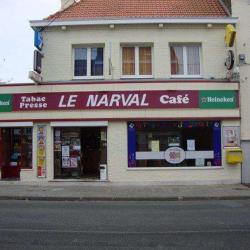 Le Narval