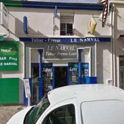 Le Narval