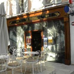 Le Narval