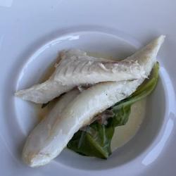 Le Nautilus