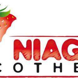 Le Niagara