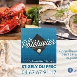 Le Palétuvier Coquillages