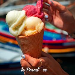 Le Parad’ice - Glacier Collioure (gelateria / Heladería) | Sur Place Ou à Emporter