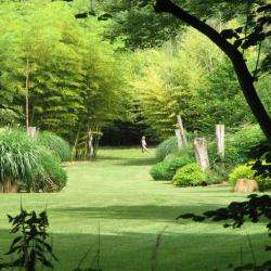 Le Parc Aux Bambous
