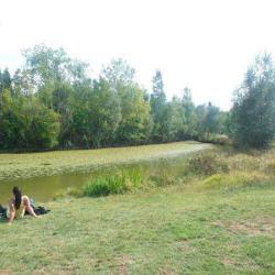Le Parc De La Maourine