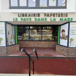 Le Pave Dans La Mare