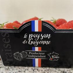 Le Paysan De Guyenne
